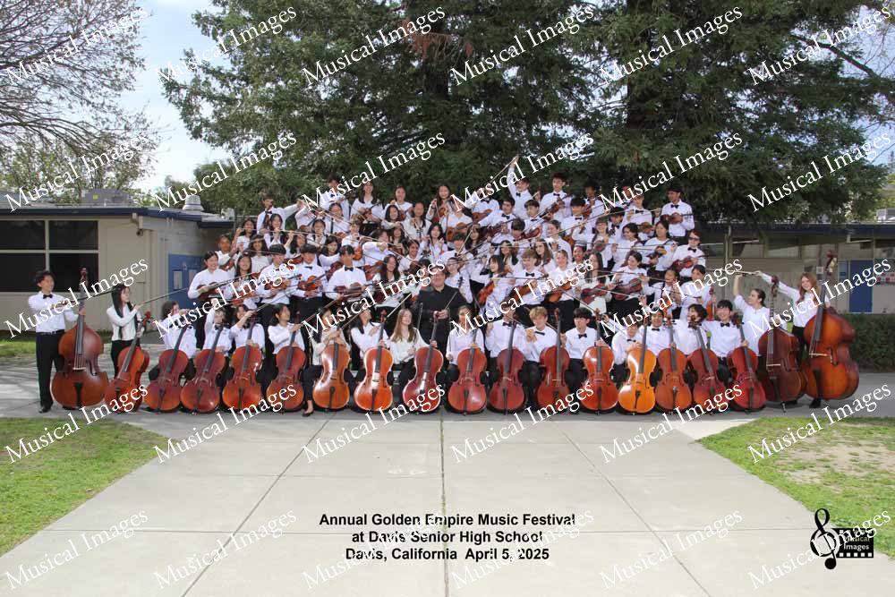 Musical Images
